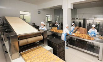 西安食品厂净化车间规范要求与软件开发前的洁净车间设计关键点